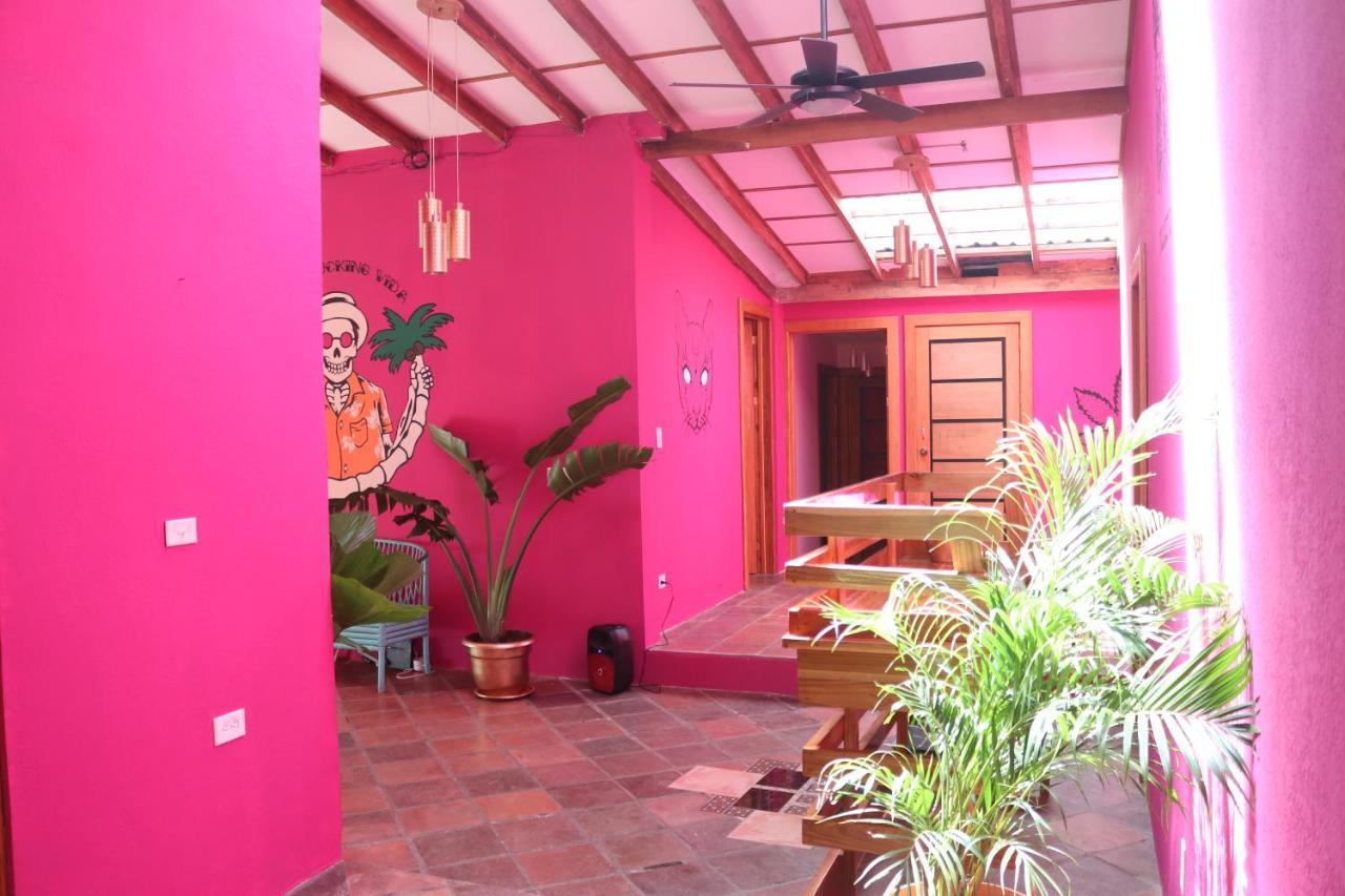 Planet B Hostel Manuel Antonio Luaran gambar